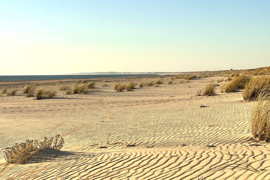 Inmobiliaria en Matalascañas.. INMODOÑANA en Matalascañas Inmobiliaria en Matalascañas.. INMODOÑANA en Matalascañas